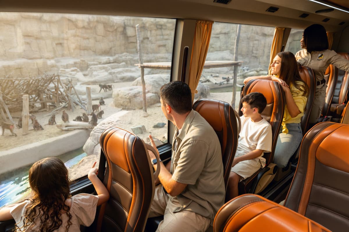 Dubai Safari Park Ticket