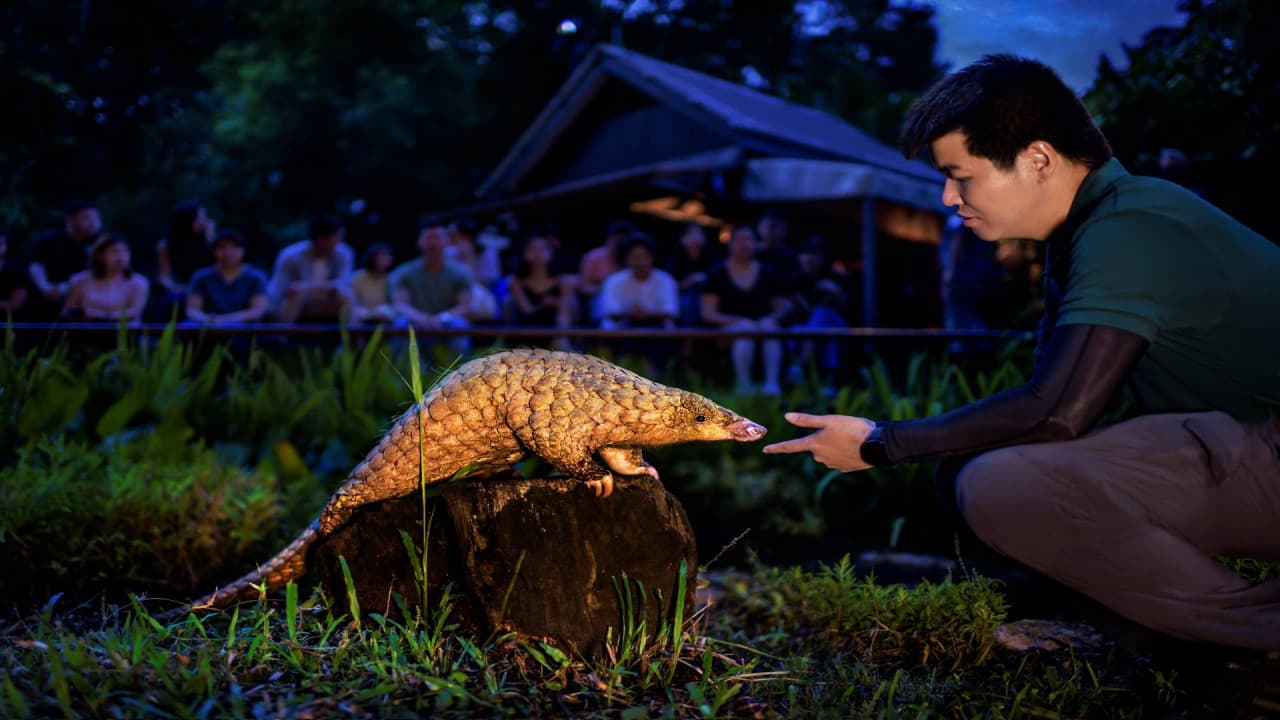 Singapore Night Safari Ticket