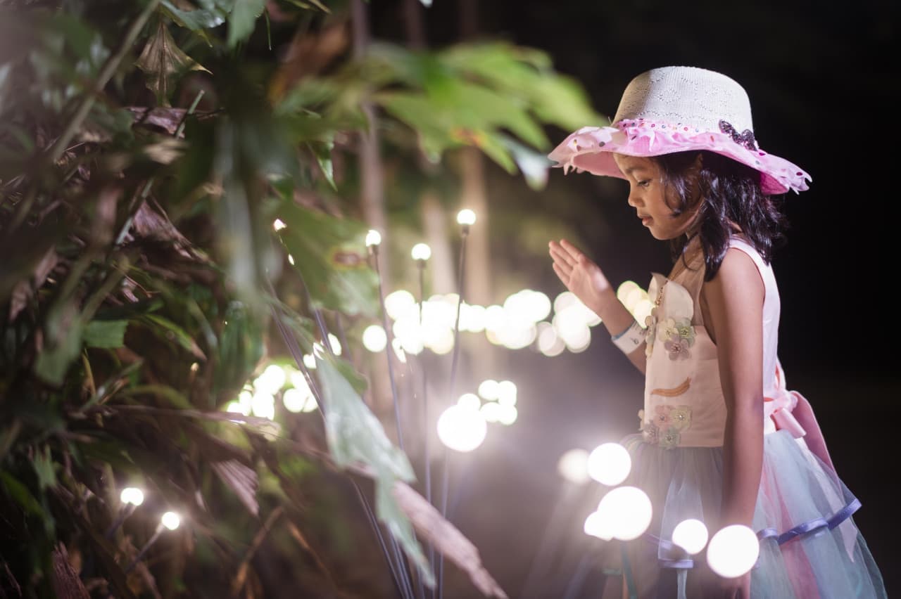 Dream Forest Langkawi – photo 7