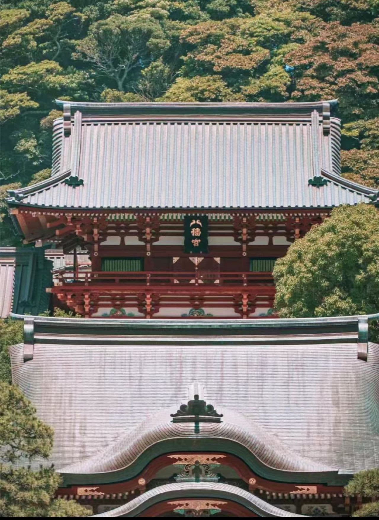 Kotoku-in Temple and Enoshima Day Tour from Tokyo – photo 3