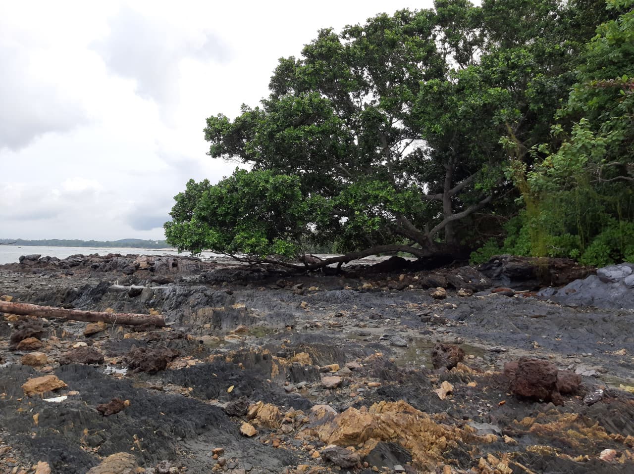 Desaru Beach and Tide Pool Walk – photo 17