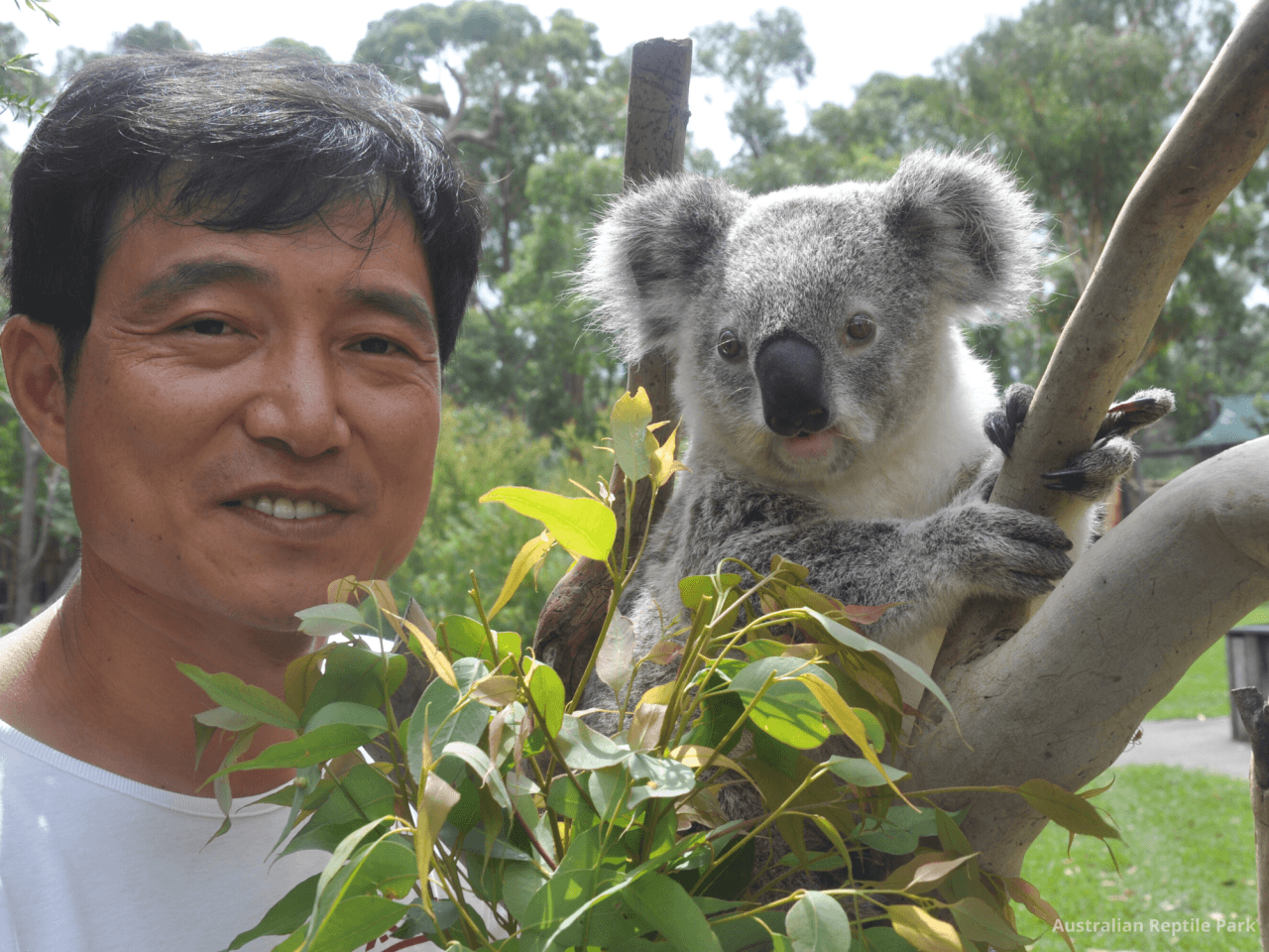 Australian Reptile Park – photo 20