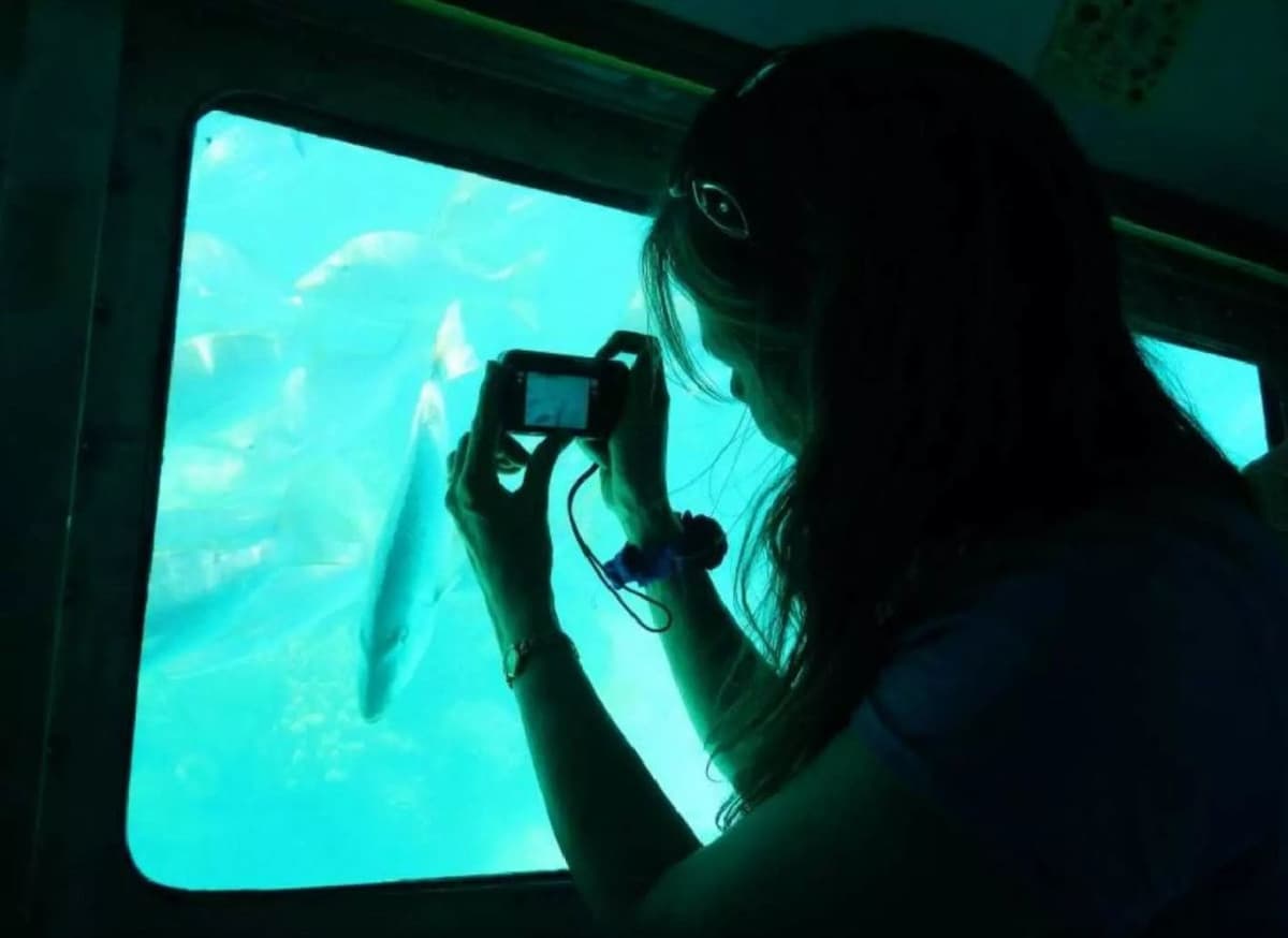 Kenting Houbihu Semi-Submarine Experience