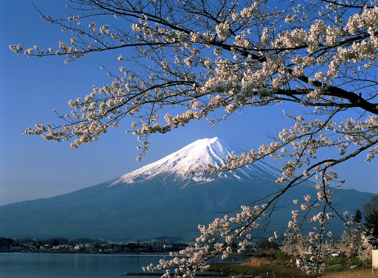 Mount Fuji and Hakone Tour – photo 8