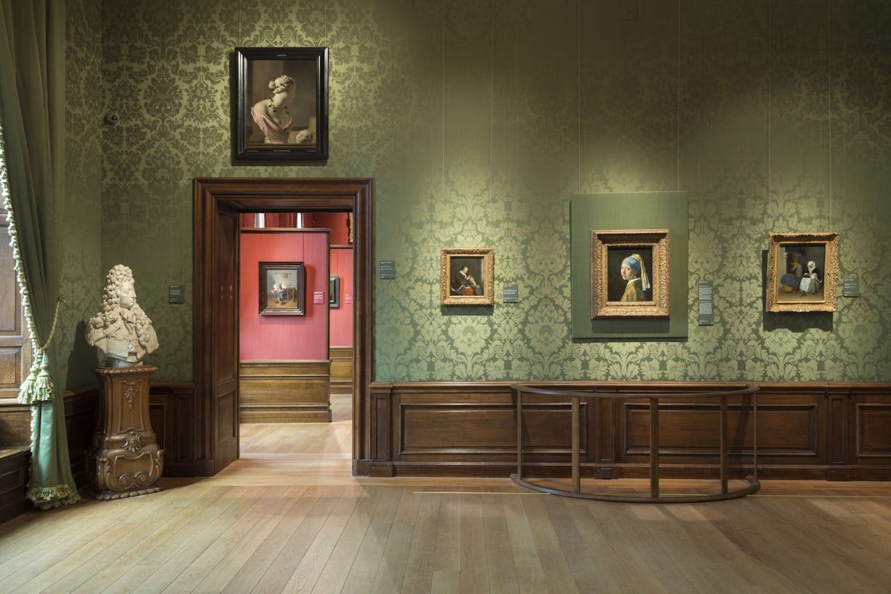 The Mauritshuis Museum Ticket