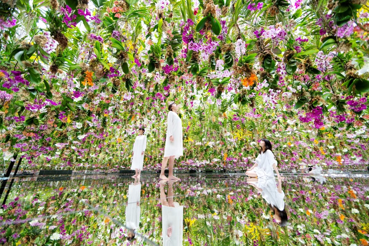 teamLab Planets TOKYO Ticket