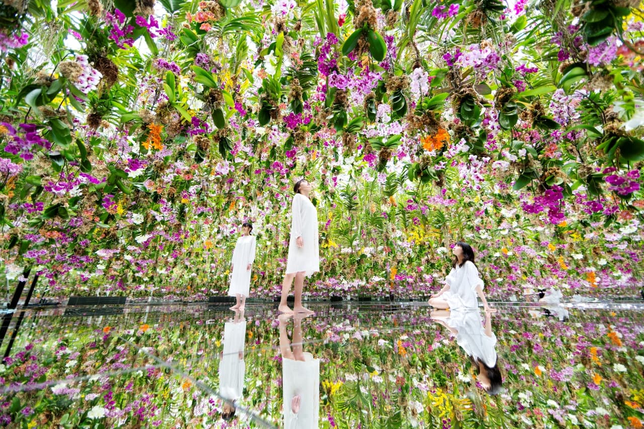 teamLab Planets TOKYO Ticket