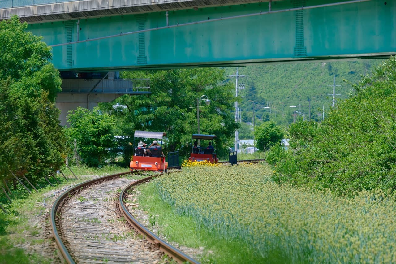 Nami Island, Mount Seorak, and Gapyeong Rail Bike Full-Day Tour from Seoul – photo 22