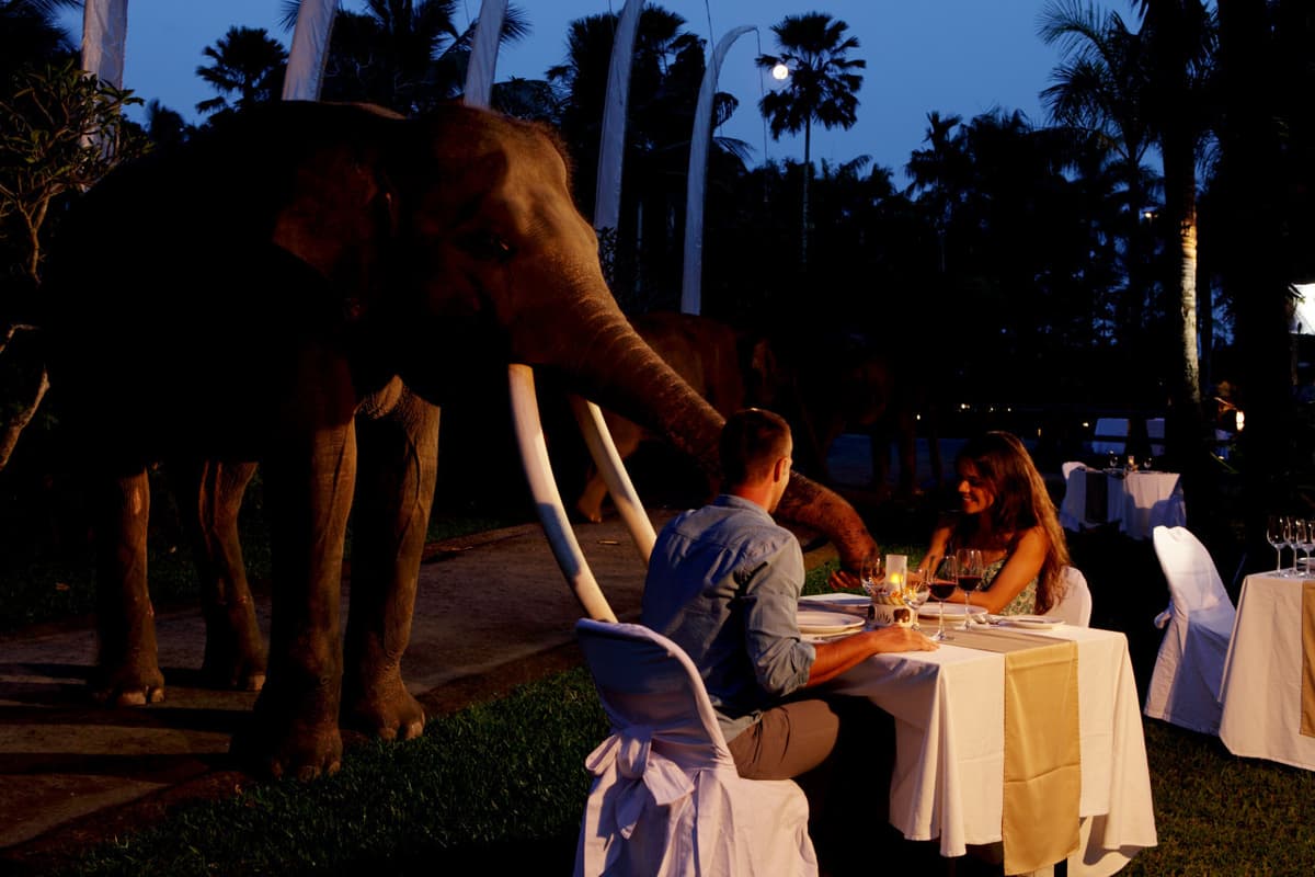 Mason Elephant Park Bali by Mason Adventures (Formerly known as Elephant Safari Park)