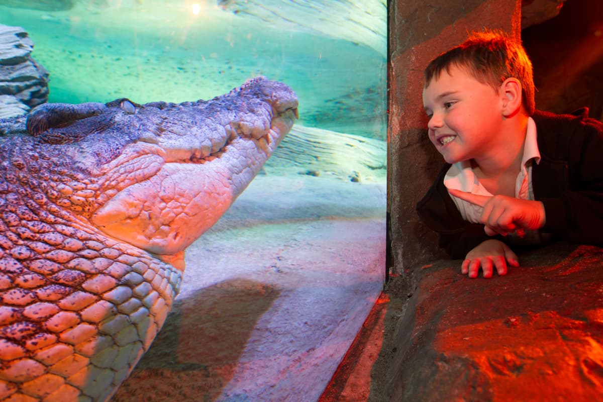 SEA LIFE Melbourne Aquarium Direct Entry Ticket