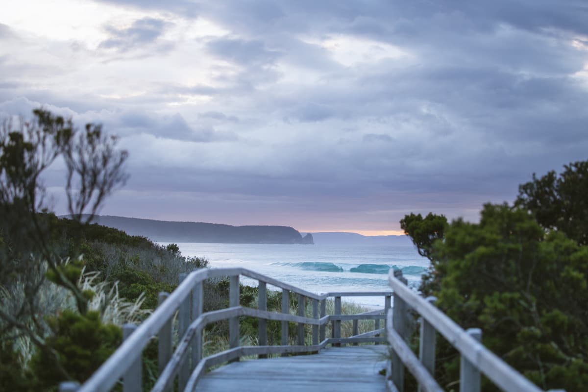 Bruny Island Full-Day Tour from Hobart