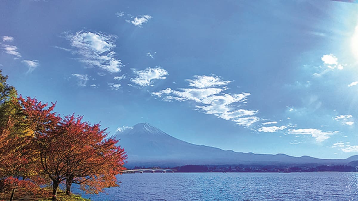 Mount Fuji and Arakurayama Sengen Park 1 Day Bus Tour