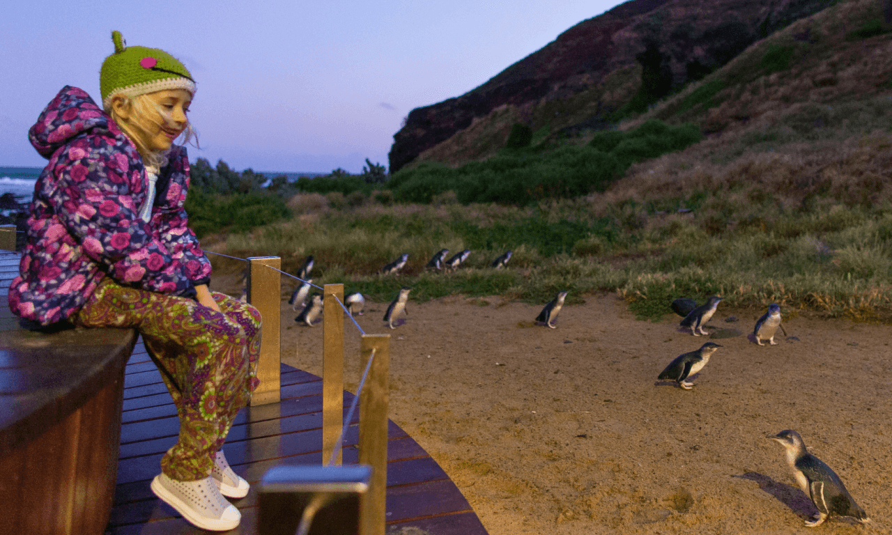 Phillip Island with Penguin Parade Eco Tour – photo 33