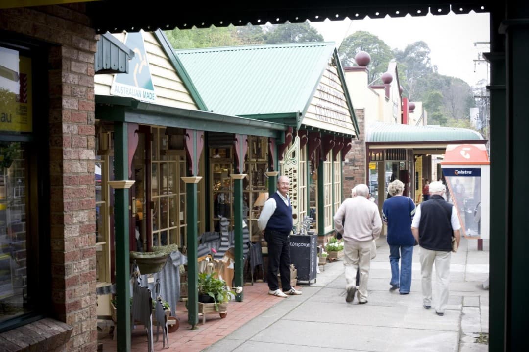 Puffing Billy Tour From Melbourne