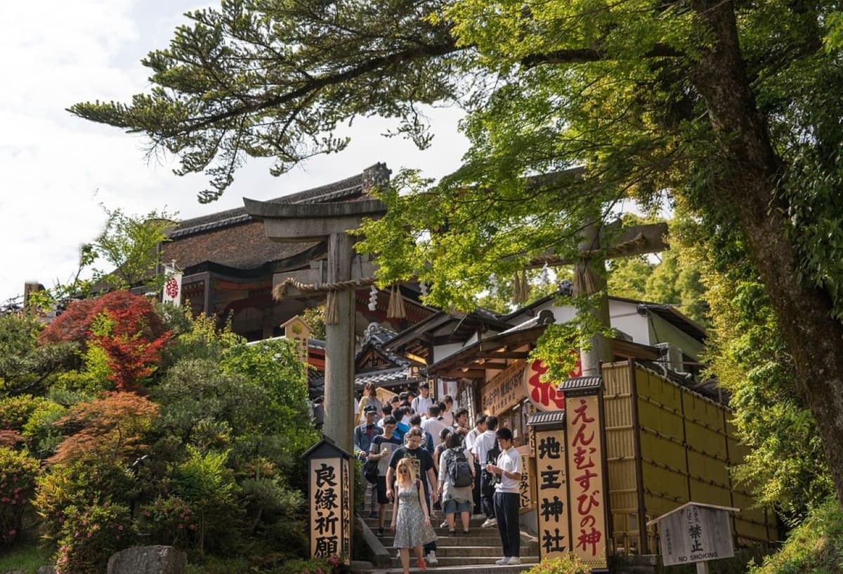 Kyoto Full-Day Tour: Nijo Castle, Kinkaku-ji,  Fushimi Inari Taisha, Kiyomizu-dera Temple