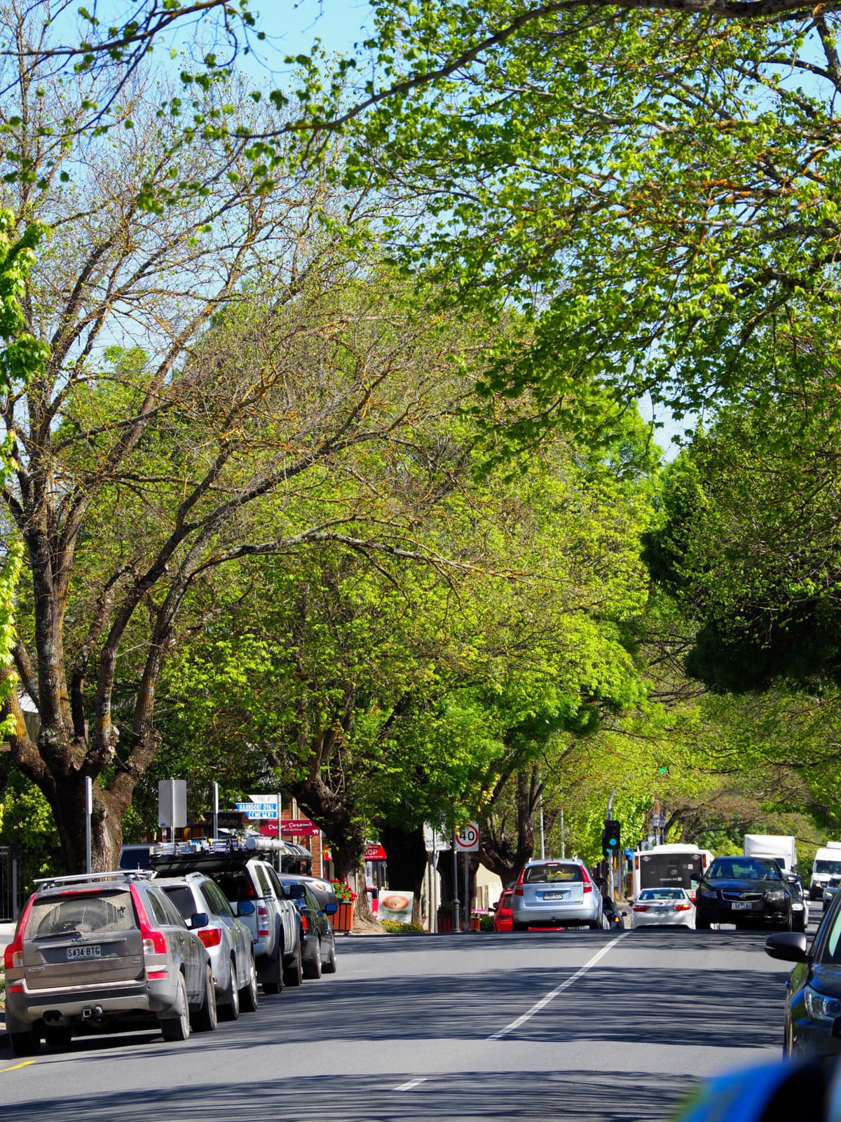 Adelaide Hills and Hahndorf Tour