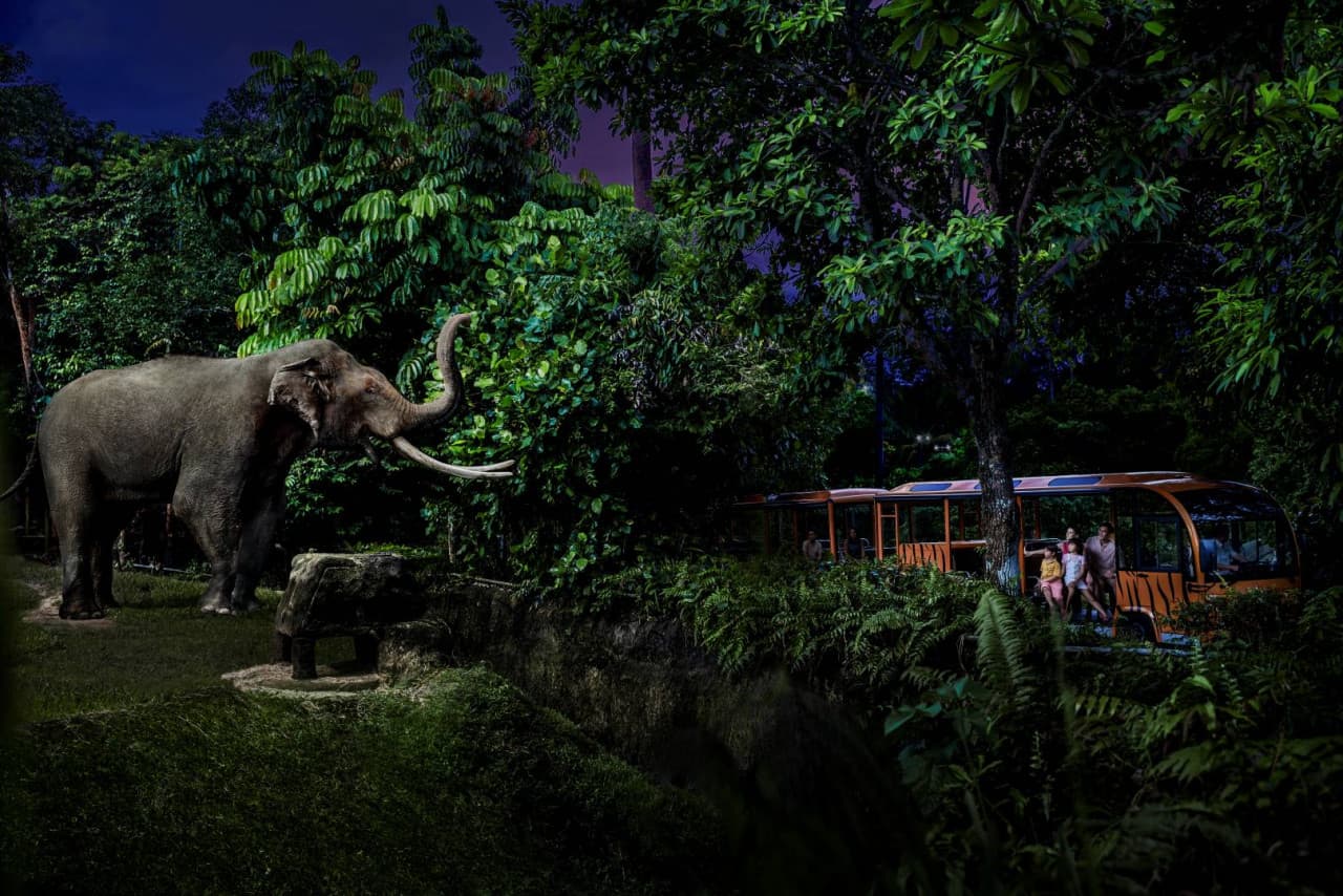 2-Park Destination Pass: Singapore Night Safari + River Wonders Tickets – photo 5