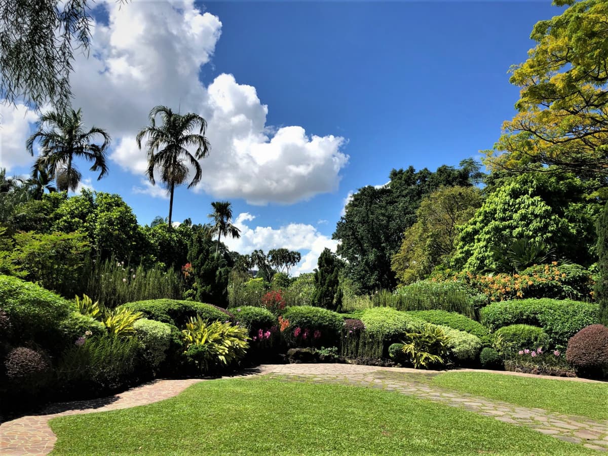 National Orchid Garden Ticket