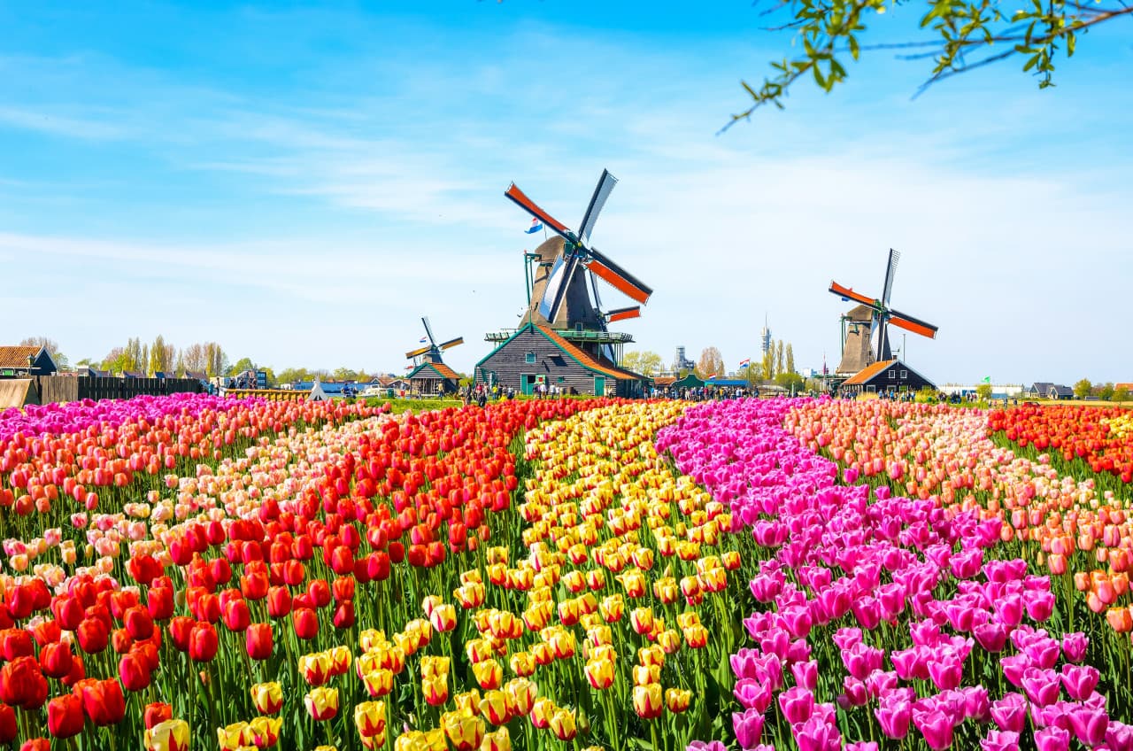 Go City Amsterdam Explorer Pass: Save up to 50% on Attractions – photo 28