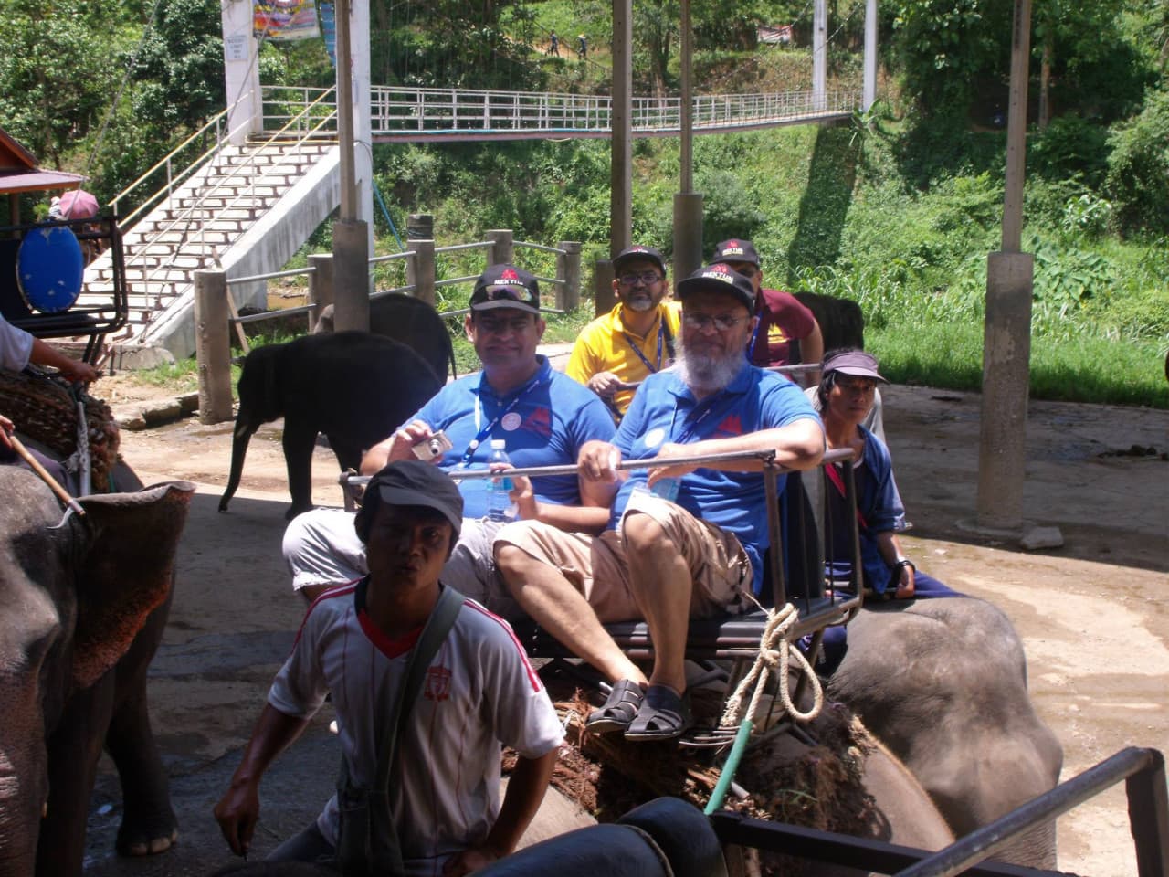 Maesa Elephant Camp
