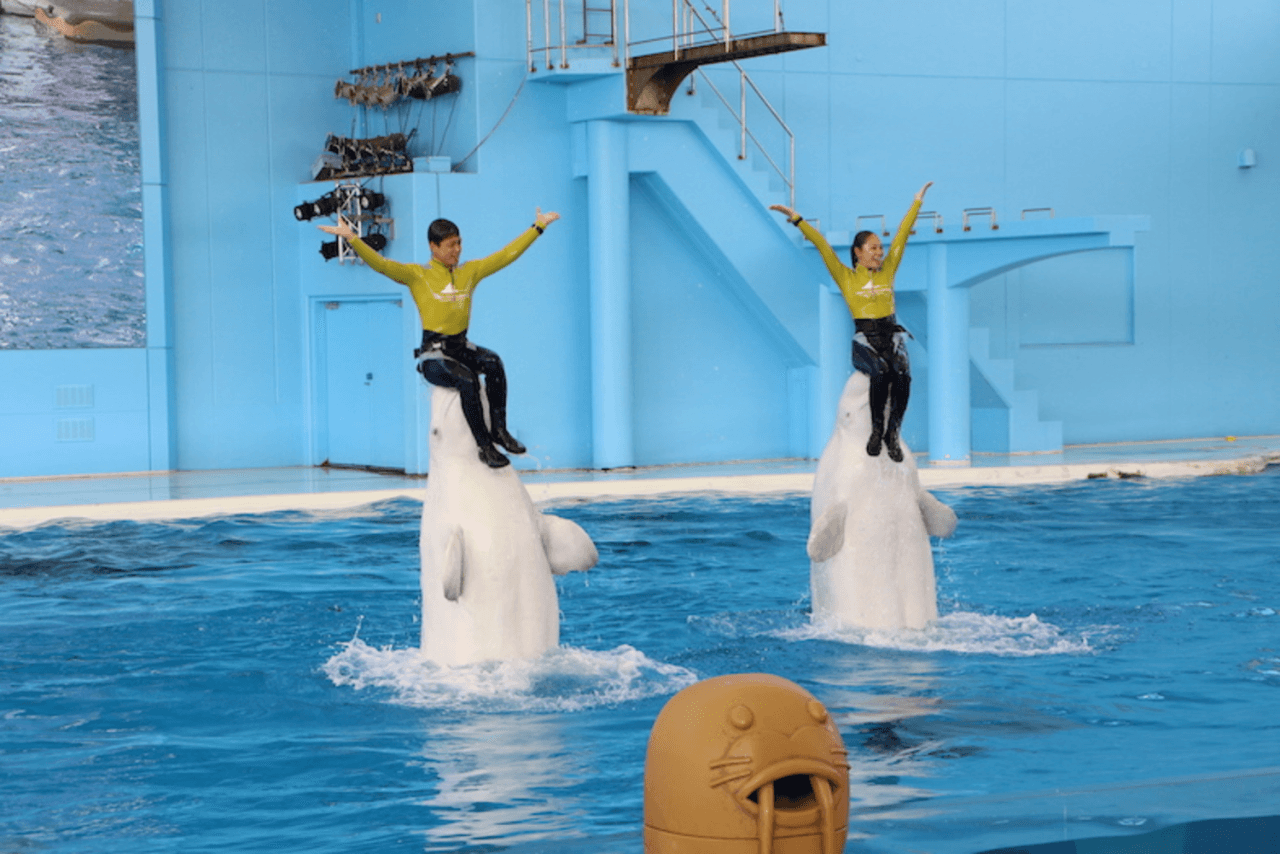 Yokohama Hakkeijima Sea Paradise Ticket – photo 8