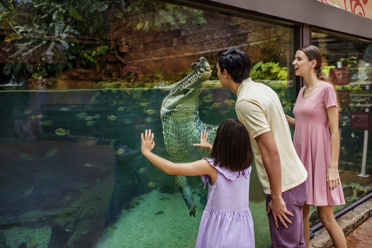 2-Park Destination Pass: Singapore Night Safari + River Wonders Tickets
