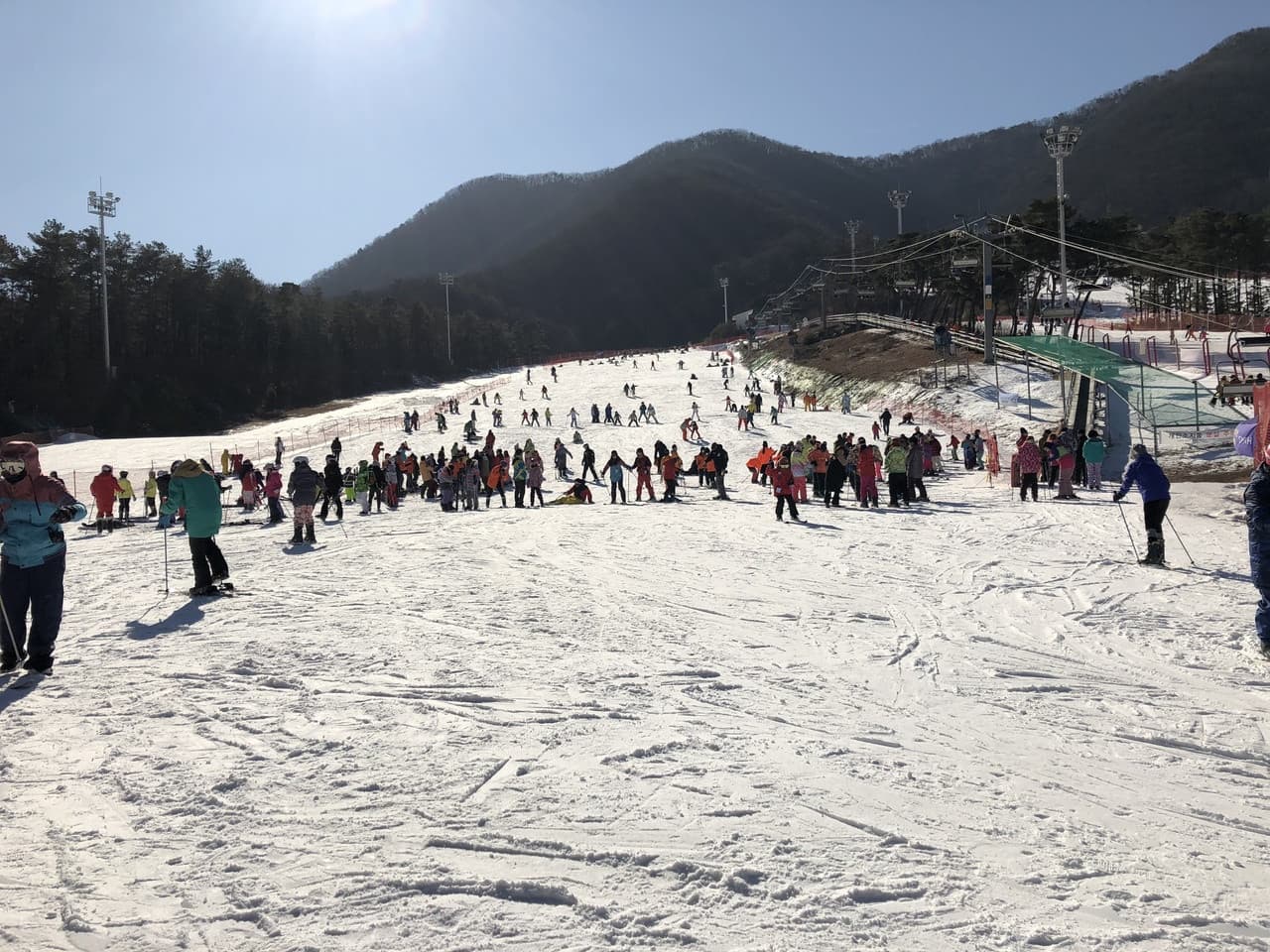 Jisan Forest Ski Resort Full-Day Tour from Seoul