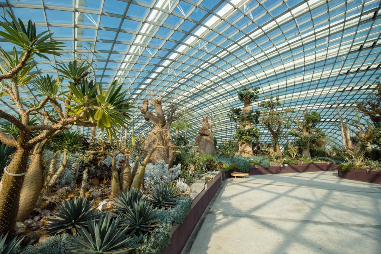 COMBO: Skyline Luge Singapore + Gardens by the Bay Ticket – photo 14
