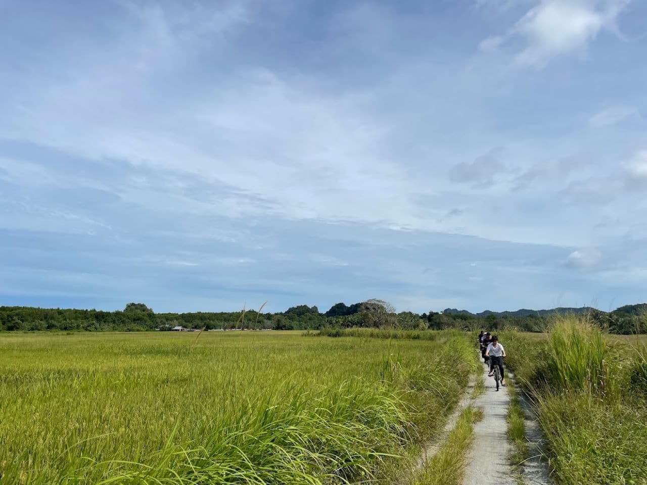 Langkawi Countryside Biking – photo 2