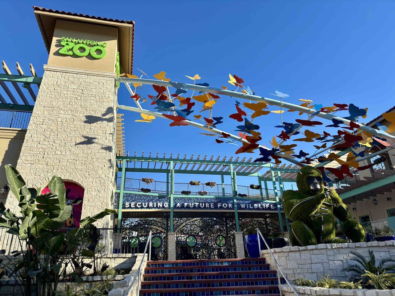 San Antonio Zoo Ticket – photo 5