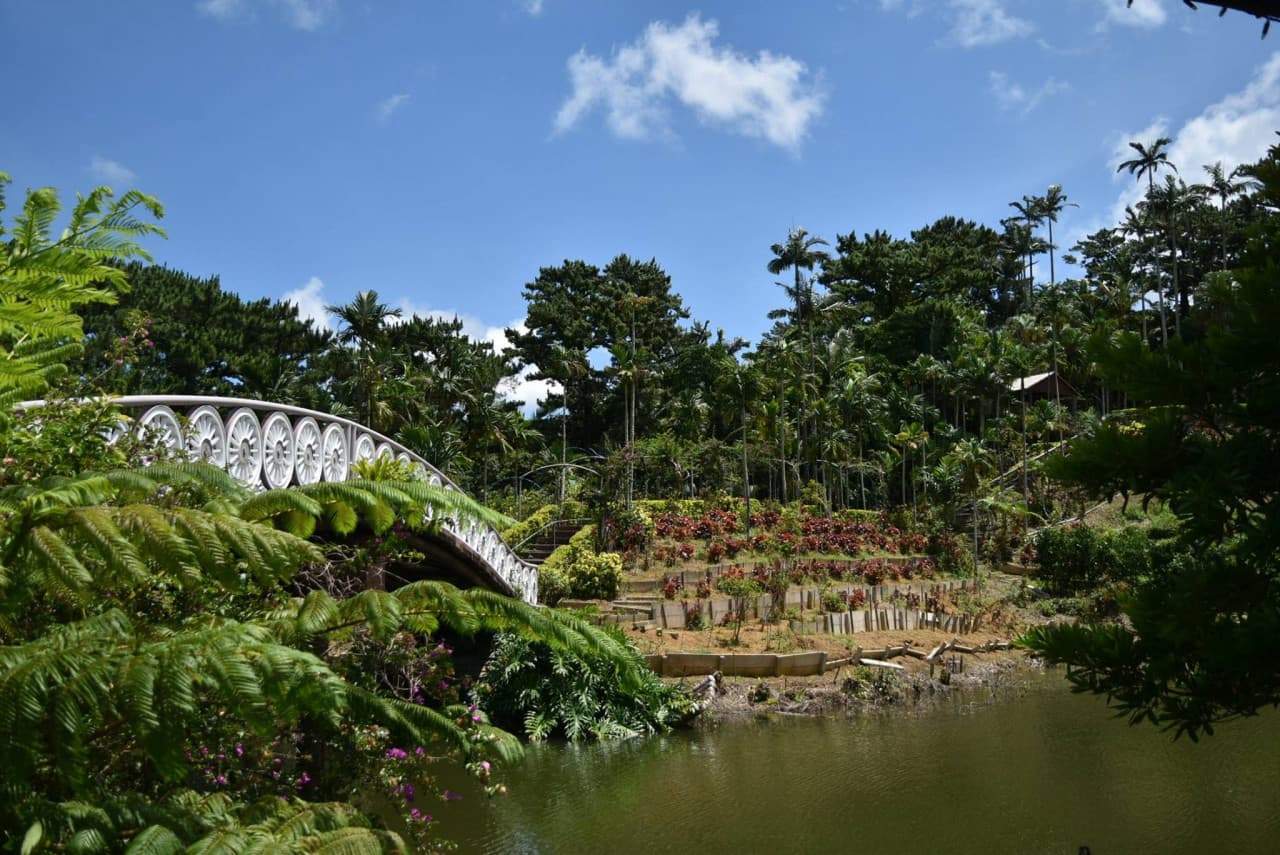 Okinawa Southeast Botanical Gardens – photo 37