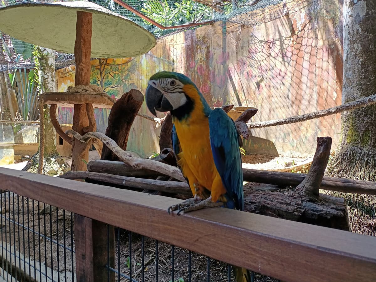 Langkawi Wildlife Park