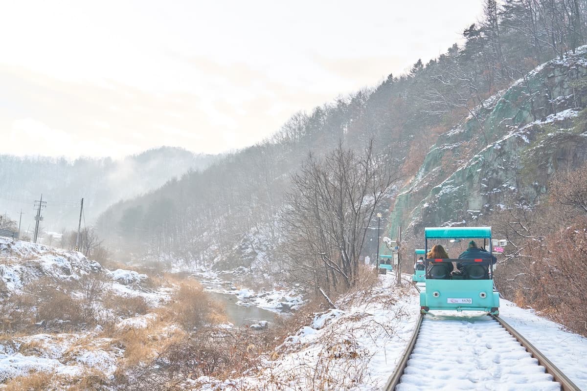 Nami Island, Mount Seorak, and Gapyeong Rail Bike Full-Day Tour from Seoul