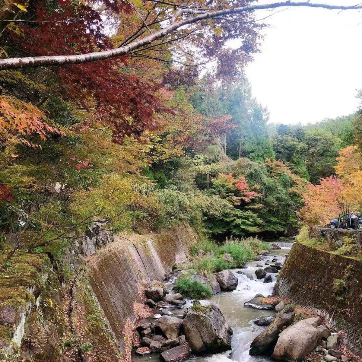Kumamoto Castle, Aso Volcano, and Kurokawa Onsen Kyushu Tour from Fukuoka