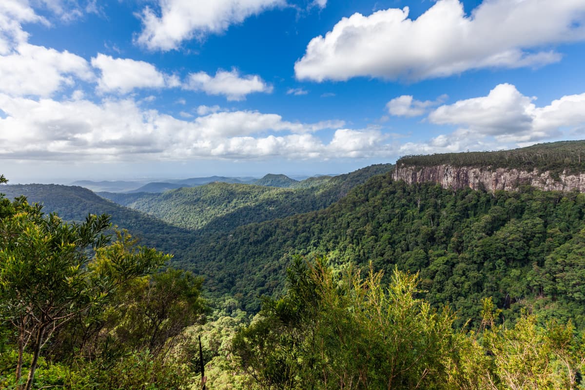 Springbrook National Park Tour: Natural Bridge and Waterfalls