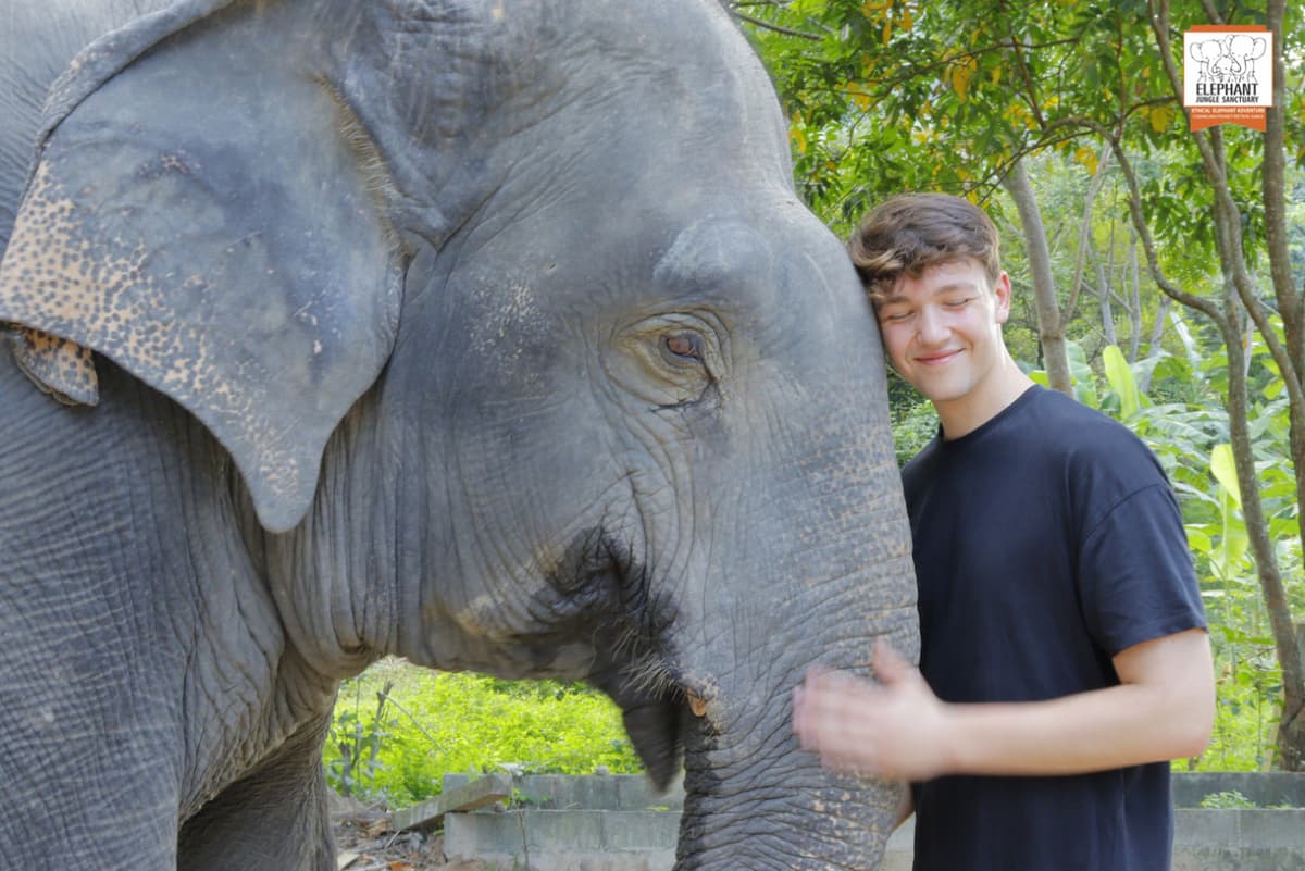 Elephant Jungle Sanctuary Koh Samui