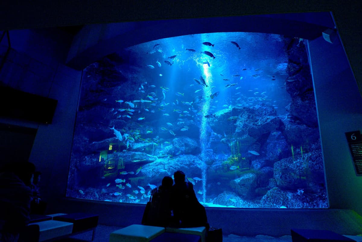 Sumida Aquarium Ticket