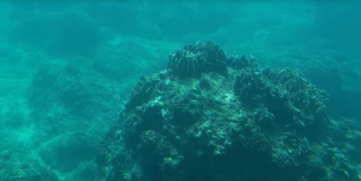 Kenting Houbihu Semi-Submarine Experience