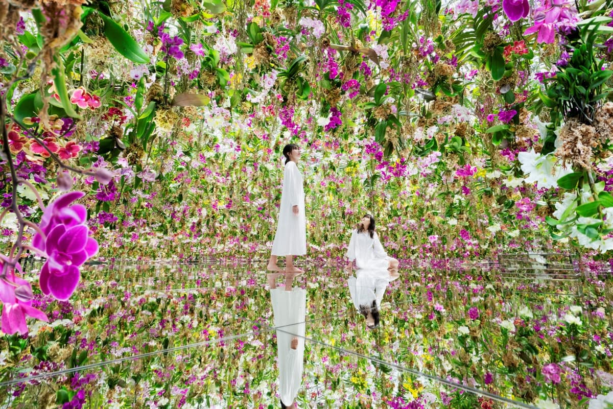 teamLab SuperNature Macao 3D Interactive Exhibition Ticket