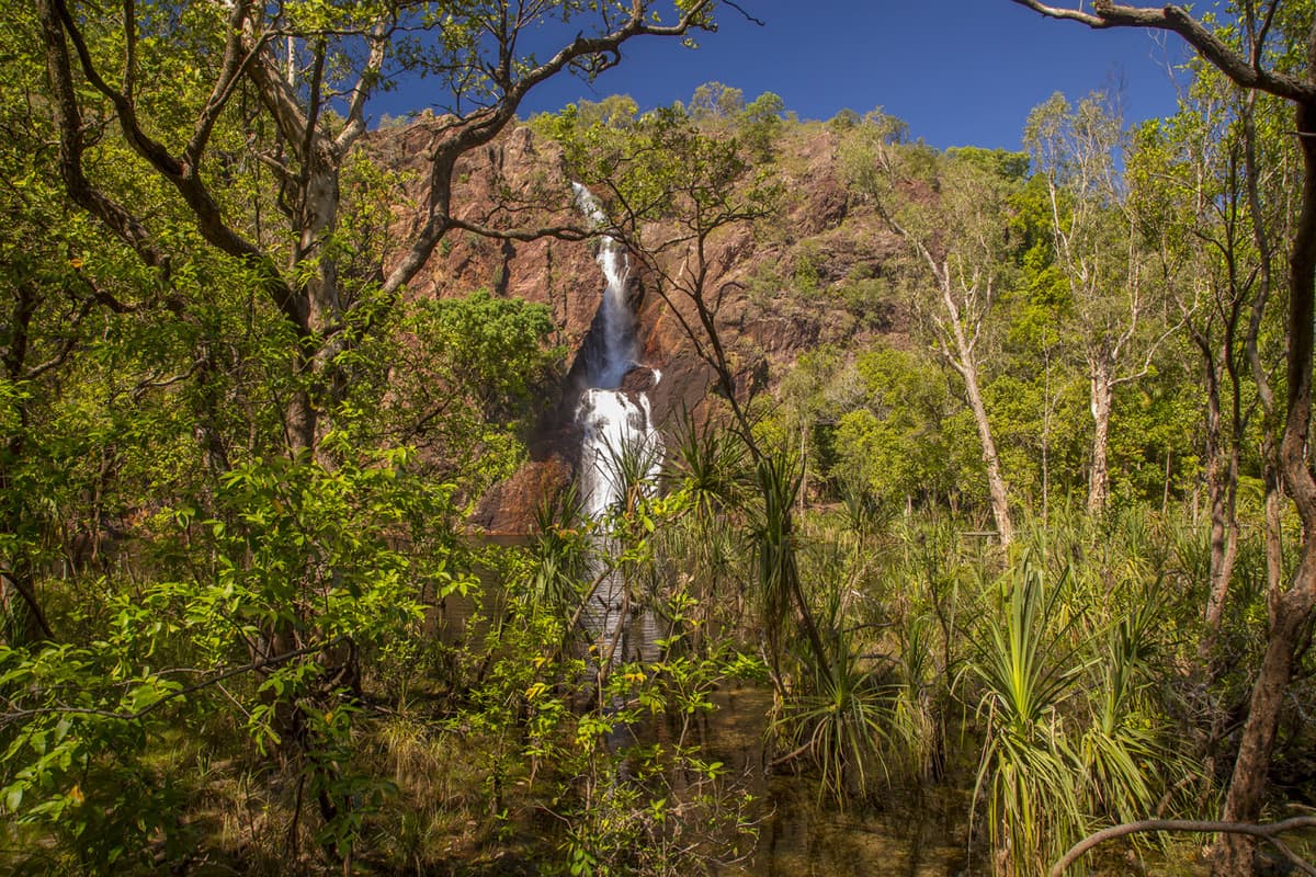 Litchfield National Park and Waterfalls Tour from Darwin