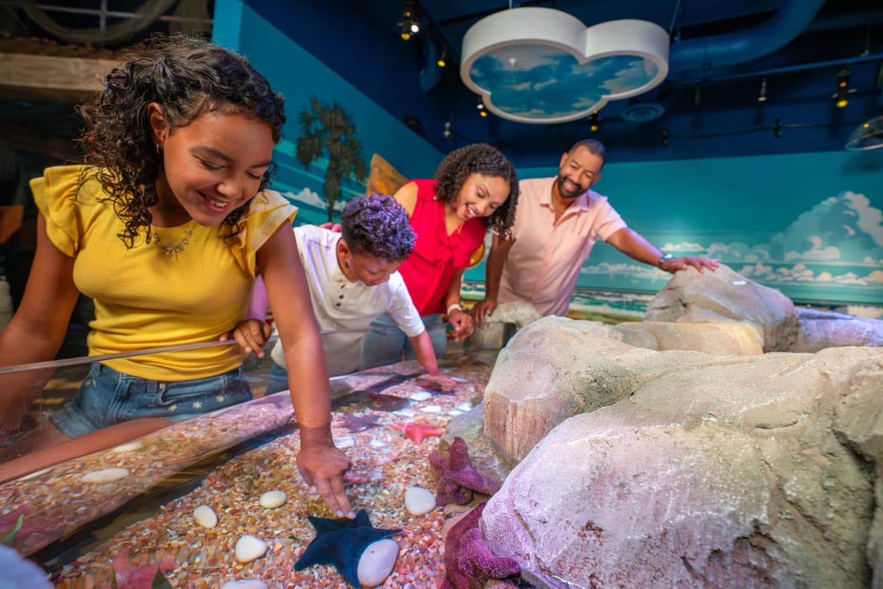 COMBO: The Merlin Florida Ticket - Admission to 7 Family Attractions – photo 14