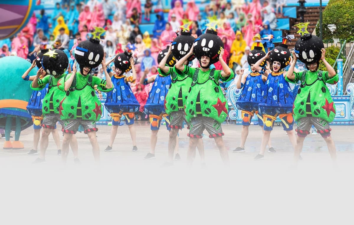 Everland Theme Park with Round Trip Transfers from Seoul