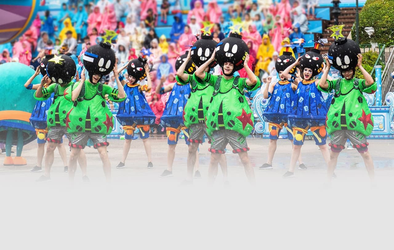 Everland Theme Park with Round Trip Transfers from Seoul