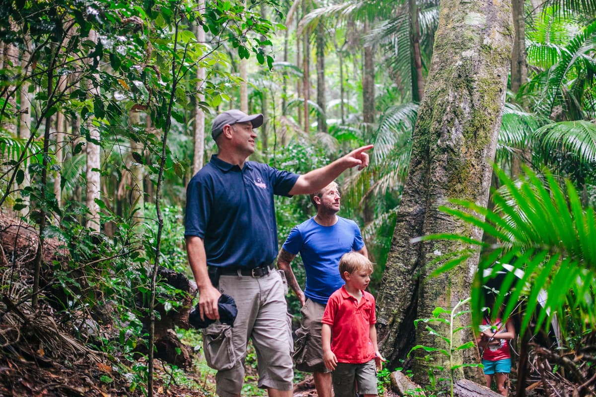 Tamborine Mountain Guided Walk and Wine Tasting Tour