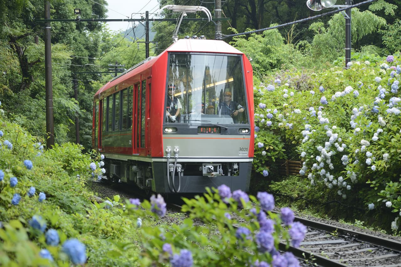 Fuji Hakone Pass – photo 2