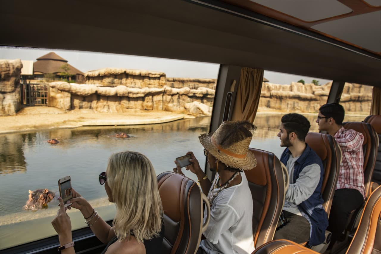 Dubai Safari Park Ticket – photo 5
