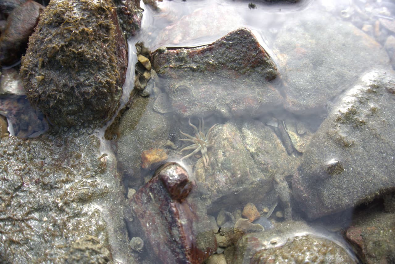 Desaru Beach and Tide Pool Walk – photo 33