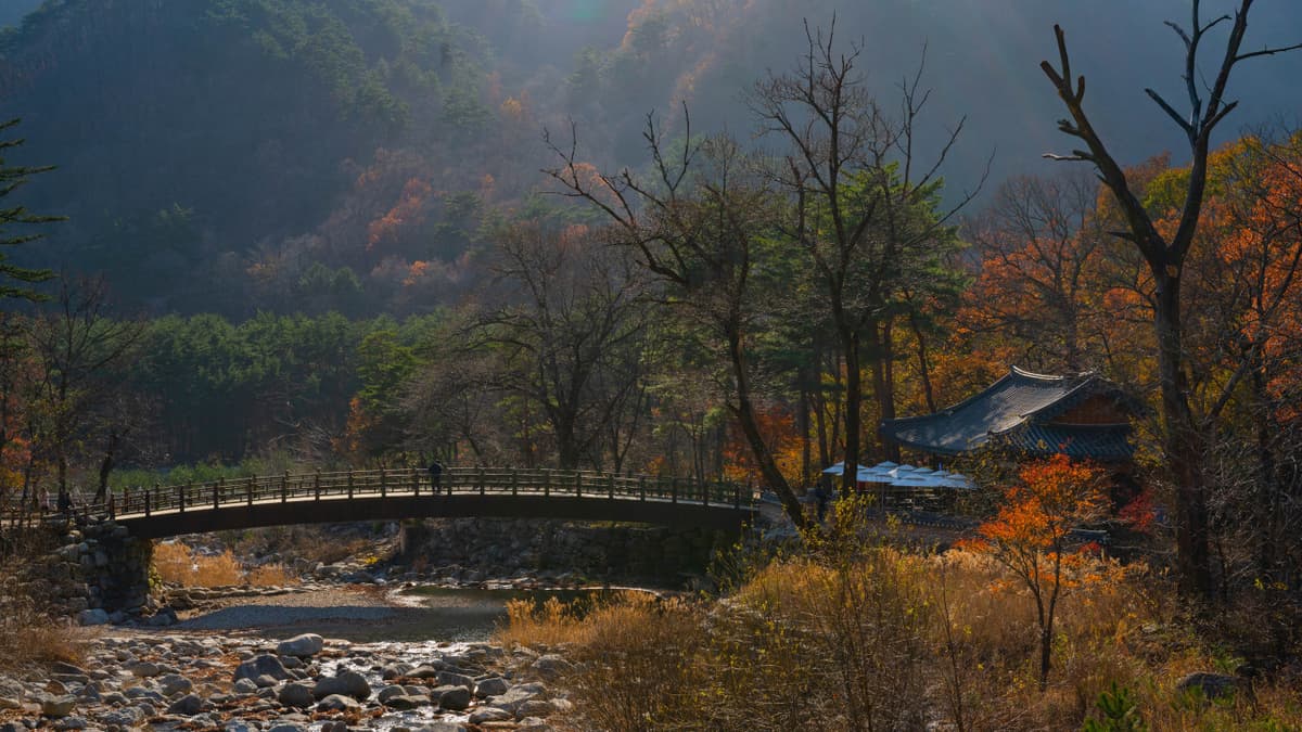 Mount Seorak and Naksansa Temple Tour from Seoul