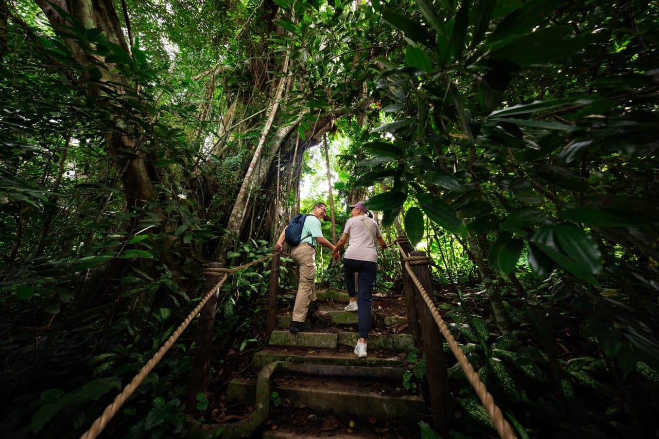 5-in-1 Day Pass: Night Safari + Singapore Zoo + Bird Paradise + River Wonders + Rainforest Asia