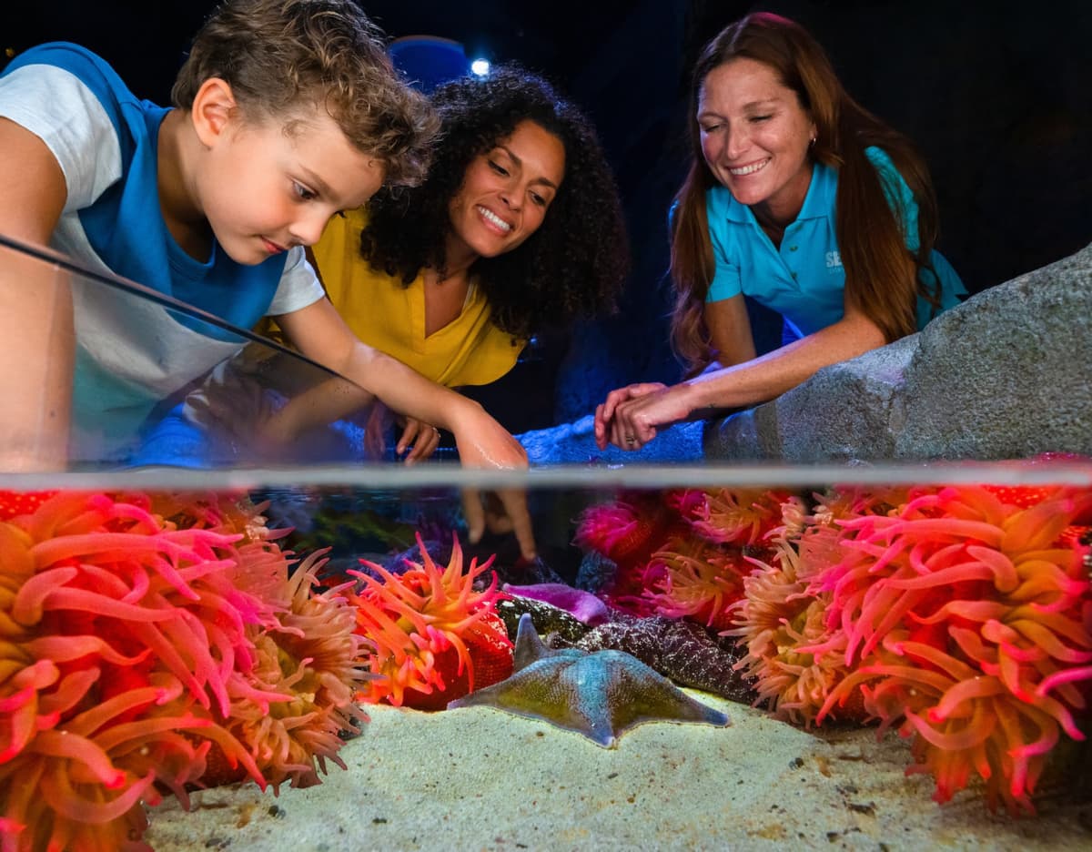 SEA LIFE Orlando Aquarium Ticket